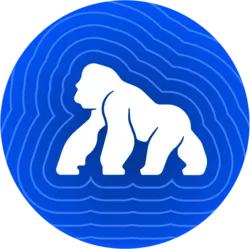 APE coin
