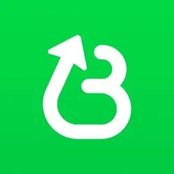 BELIEVE coin
