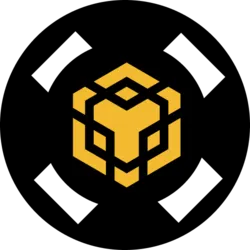 BNBX coin