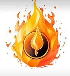 BURN coin