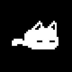 CAT coin