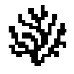 CORAL coin