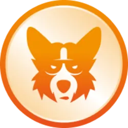 CORGIAI coin