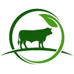 DMTR coin