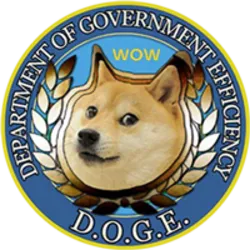 DOGE coin
