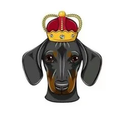 DOGEKING coin