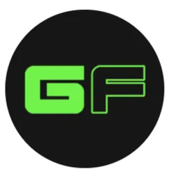 GAFI coin