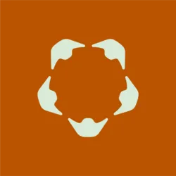 H coin