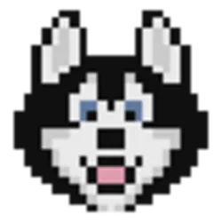 HOSKY coin