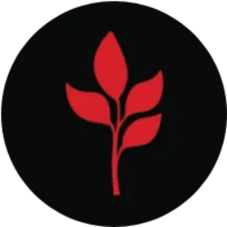 MARSMI coin