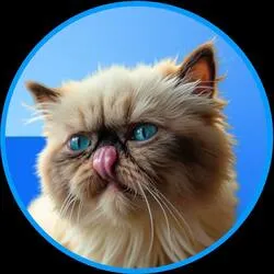 MIGGLES coin