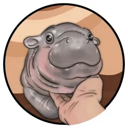 MOODENG coin