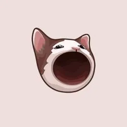 POPCAT coin