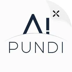 PUNDIAI coin