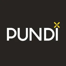 PUNDIX coin