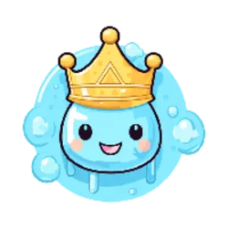 RAIN coin