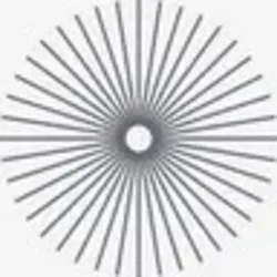 SN10 coin