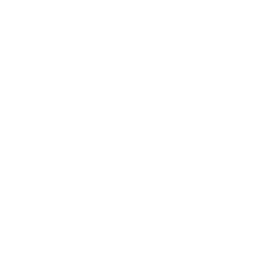 SN18 coin