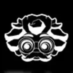 SN35 coin