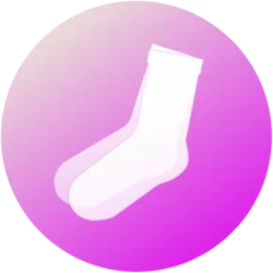 SOCKS coin