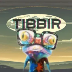 TIBBIR coin