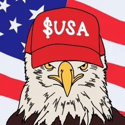 USA coin