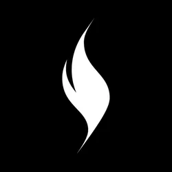 XION coin